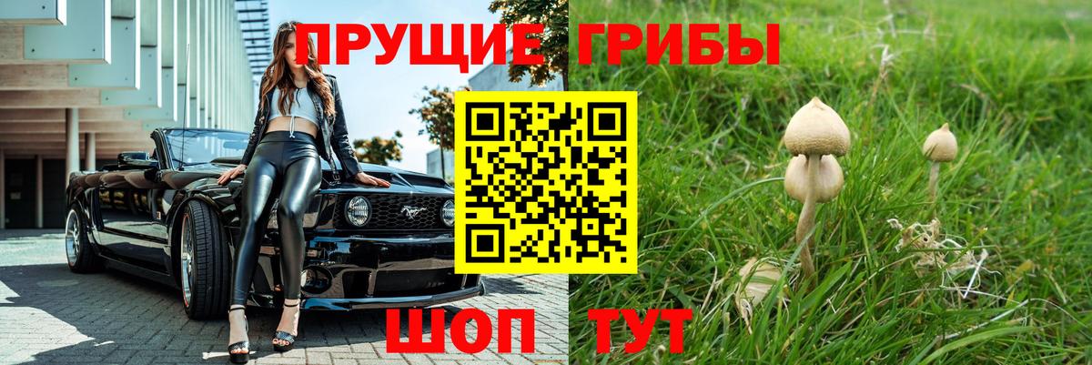 Галлюциногенные грибы ЛСД Ульяновск